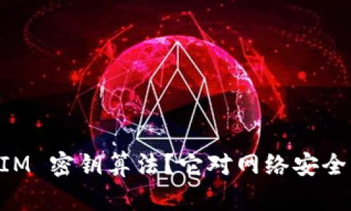 什么是 TokenIM 密钥算法？它对网络安全的意义是什么？