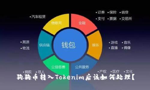 狗狗币转入Tokenim后该如何处理？