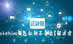 为什么你的Tokenim钱包私钥不导出？解决方案及安