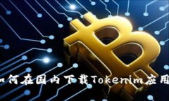 如何在国内下载Tokenim应用？