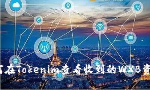 如何在Tokenim查看收到的WXB资产？