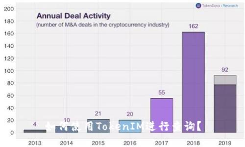 如何使用TokenIM进行查询？