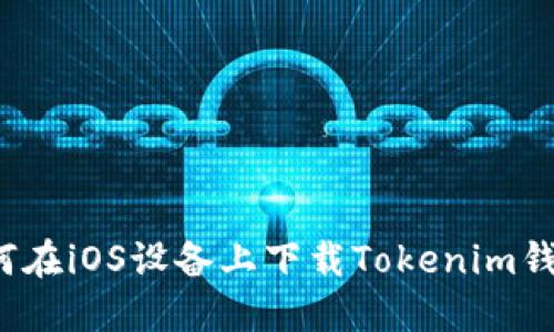 如何在iOS设备上下载Tokenim钱包？