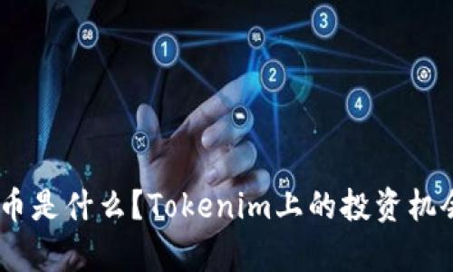 AAANNN币是什么？Tokenim上的投资机会有哪些？