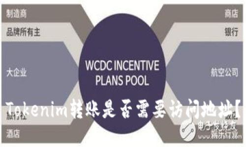 Tokenim转账是否需要访问地址？