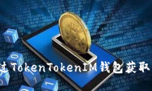 怎样通过TokenTokenIM钱包获取资金呢？