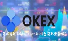怎样通过TokenTokenIM钱包获取资金呢？