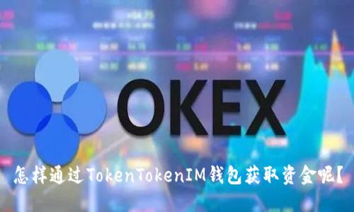 怎样通过TokenTokenIM钱包获取资金呢？