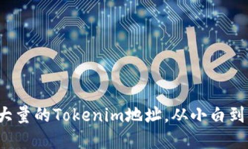 如何查找和管理大量的Tokenim地址，从小白到高手的完整指南？