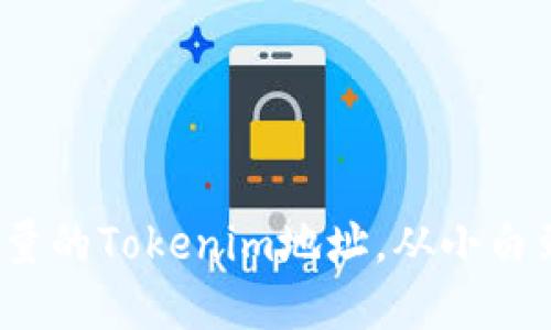 如何查找和管理大量的Tokenim地址，从小白到高手的完整指南？