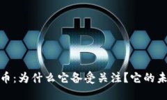  DMG虚拟币：为什么它备受关注？它的未来又如何