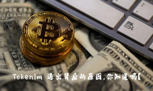 Tokenim 退出背后的原因，你知道吗？