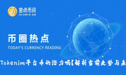 你知道Tokenim平台币的潜力吗？解析当前走势与未来价值