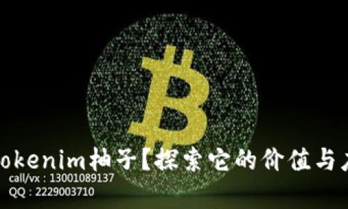 什么是Tokenim柚子？探索它的价值与应用前景