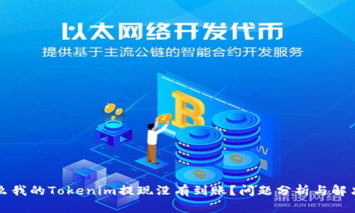 为什么我的Tokenim提现没有到账？问题分析与解决方案