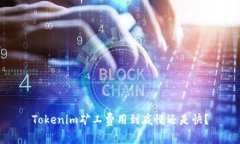 Tokenim矿工费用到底慢还是快？