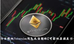 为什么我的Tokenim钱包无法转账？可能的原因是什